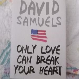 Book called "Only love can break your heart" A post September 11th novel
